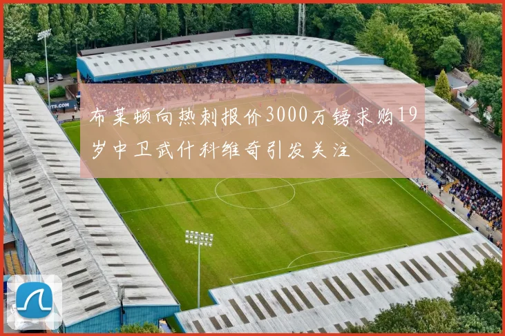 布莱顿向热刺报价3000万镑求购19岁中卫武什科维奇引发关注